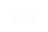 Airfield Gouge Winged A logo